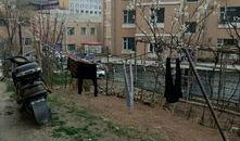 辽源市最新爆料,揭秘城市变革与发展新篇章